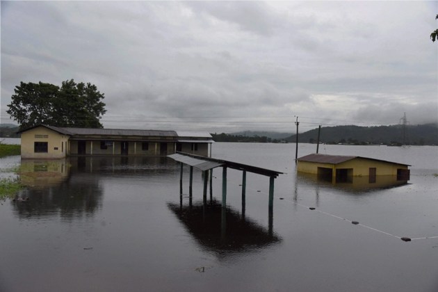 Kaziranga National Park, Rhinos, Rhinos flood, Kaziranga Rhinos, assam floods, assam monsoon, assam flood deaths, guwahati floods, assam news