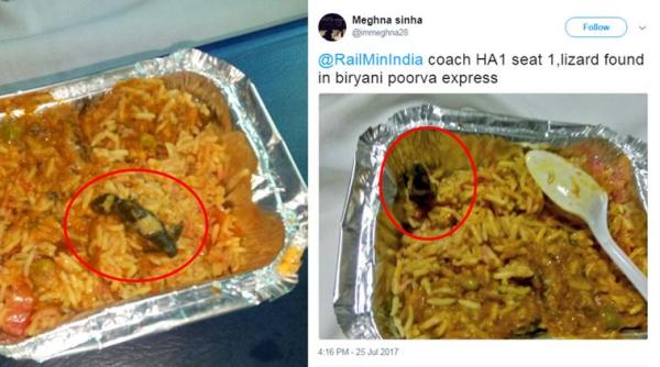 indian railways, lizard, lizard in railway food, lizard in indian railways food, dead lizard poorva express food, lizard train food, india news, viral news, trending news, indian express