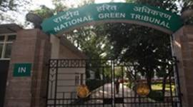 NGT, National Green Tribunal, Qutab Golf Course, Qutab Golf Course redevelopment, south delhi, south delhi redevelopment, indian express news, delhi news, india news