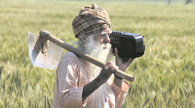 punjab farmers, malwa farmers debt, farmers debt, punjab news, indian express