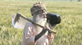 punjab farmers, malwa farmers debt, farmers debt, punjab news, indian express