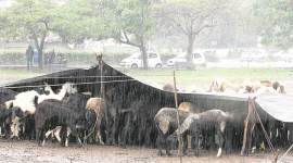 bengal weather, monsoon, bengal monsoon, kolkata weather, kolkata rain, bengal temperature, bay of bengal, india news