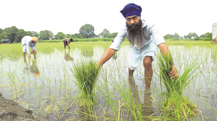 economic survey, Gross domestic product, farmer loan waivers, Economic survey GDP,