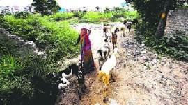 Delhi Rape, Delhi Molestation, Delhi Sexual Assault, Pankaj Kumar, Delhi News, India News, Indian Express, Indian Express News