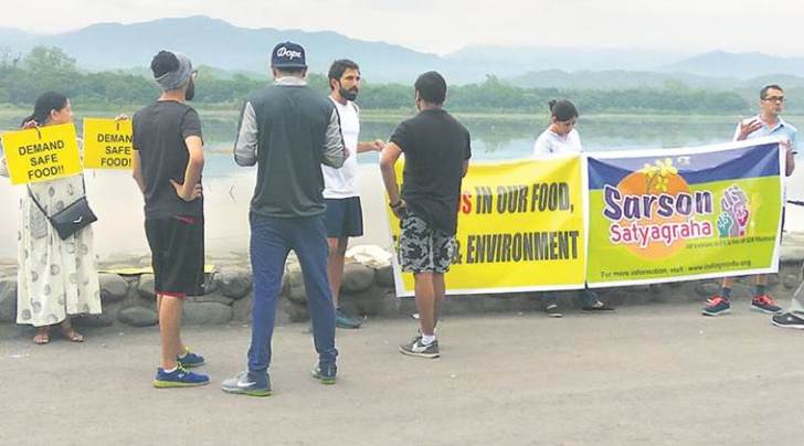 sarson satyagraha, genetically modified crop, chandigarh sarson satyagraha, india news