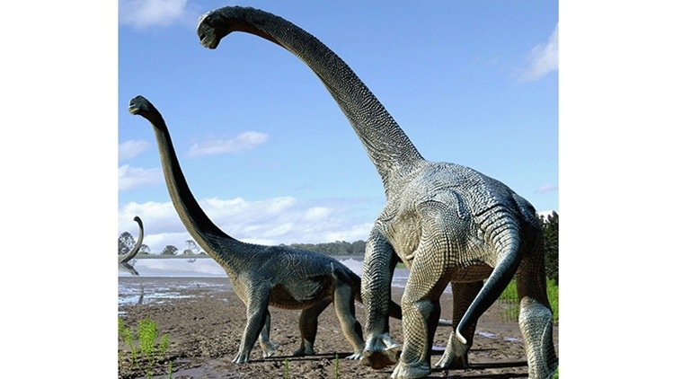 austrosaurus