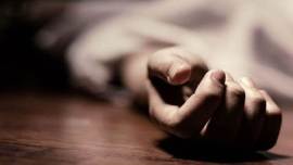 delhi girl suicide case, ahlcon public school, Pandit Birju Maharaj, mayur vihar suicide, mayur vihar girl suicide, cbi probe, delhi news