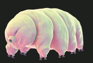 When all other life ends, the one likeliest to endure | Technology News,The Indian Express When all other life ends, the one likeliest to endure | Technology News,The Indian Express