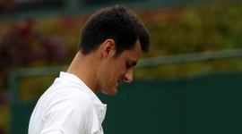 Wimbledon 2017, Bernard Tomic, Mischa Zverev, Rennae Stubbs, Pat Cash, Tomic Wimbledon, Tennis news, sports news, indian express