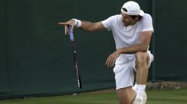 Tomy Haas, Wimbledon 2017, Indian Express