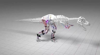 T-rex dinosaur could not have run at high speed, says study