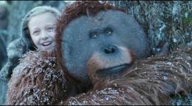 War For The Planet Of The Apes movie review, War For The Planet Of The Apes review, War For The Planet Of The Apes, Matt Reeves, Matt Reeves War For The Planet Of The Apes,