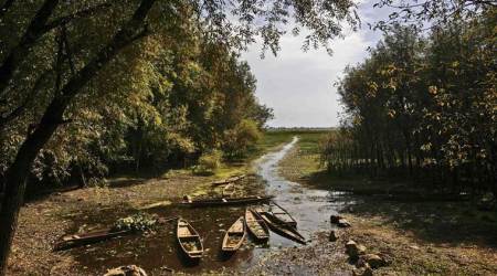 ragpickers, srinagar rag picker, wular lake, bilal ahmed dar, srinagar news