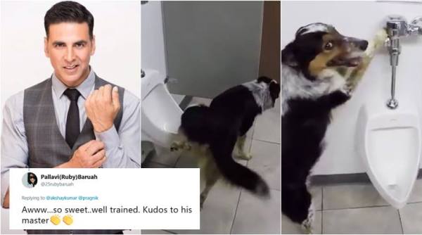 akshay kumar, toilet, akhay kumar toilet, dog using toilet, funny dog video, animals using toilet video, viral videos, cute animal videos, indian express