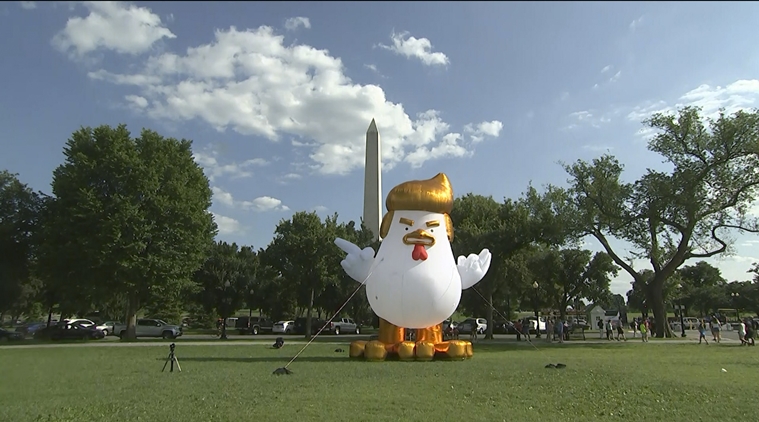 Indian Origin Activist Places Giant Inflatable ‘trump Chicken Near