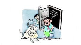 Cow and bull story_759 cow, bull, wildlife, animals, animal story, jungles, forest, forest story, inspiring stories, nature, indian express, indian express news