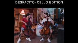 despacito, despacito covers, despacito best covers, despacito cello covers, despacito instrumental covers, despacito latest covers, indian express, indian express news