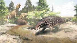 dinasaur, dinasaur fossil, dinasaur discovery, Royal Tyrrell Museum of Palaeontology, dinosaur, dinosaur fossil, Borealopelta markmitchelli, indian express news