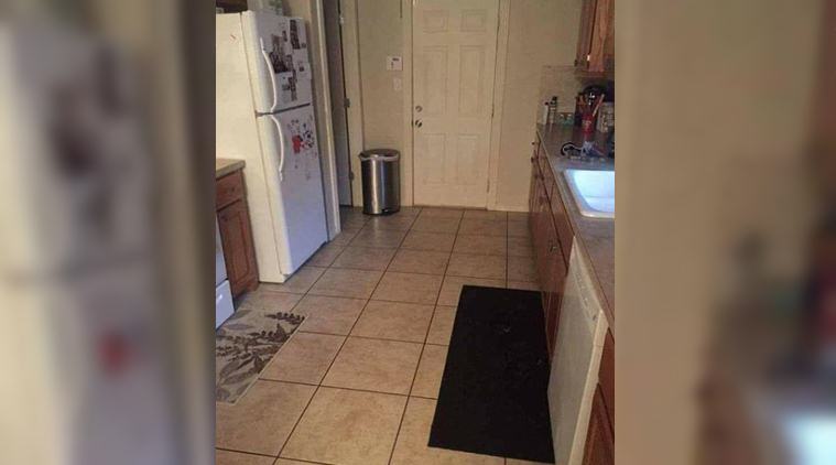 Internet is baffled to know there’s a dog in this kitchen photo, can ...