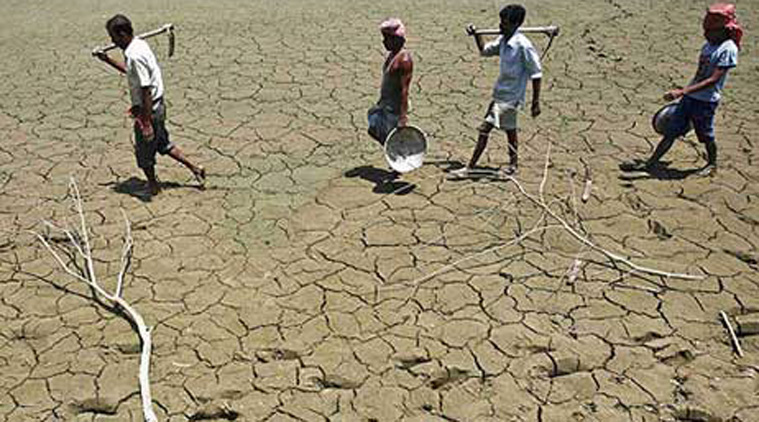 farmers crop loss, drought hit villages,  crop loss suffered by farmers, farmers in gujarat, Indian express 