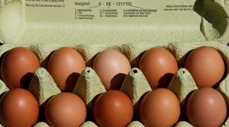 contaminated eggs, egg contamination, EU, European union, france, france contaminated eggs, germany, germany eggs, Netherlands, latest news, latest world news
