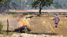 farmer protest, punjab farmers protest, patiala, sangrur, patiala protest, indian express news, punjab news