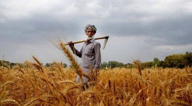 farmer loan waiver, online registration for loan waiver, aadhaar number linked to farmers loan waiver, aadhar number linked to farmers, indian express news