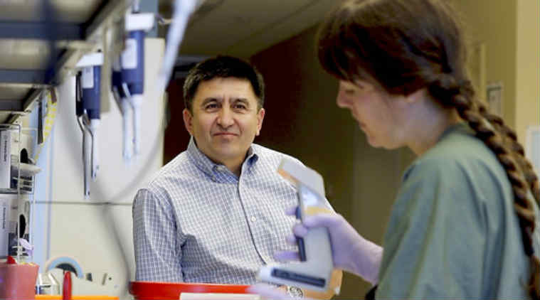 Gene editing, CRISPR, DNA alteration, Gene-editing tools, What is CRISPR, CRISPR gene-editing, Gene editing, What is gene editing