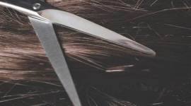 Jammu and Kashmir, Jammu and Kashmir braid choppers, braid choppers, J-K braid choppers, J-K news, india news, indian express news