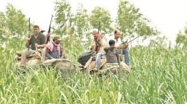 Pilibhit Tiger Reserve, Killer Tigers, Tigers Attack At Pilibhit Tiger Reserve, Pilibhit Tiger Reserve Death Toll, Pilibhit Tiger Reserve People Died, India News, Indian Express, Indian Express News