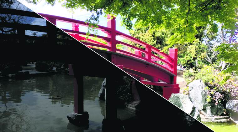 Massachusetts Institute of Technology, Google, artificial intelligence system, Image retouch function, automatic image retouch, MIT