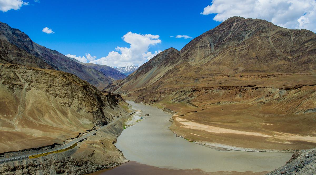 A King In Hiding The Barren Cold Desert Of Ladakh Sees Signs Of A New Life The Otter Lifestyle News The Indian Express