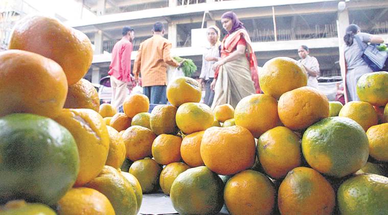 case study on a product oranges from nagpur