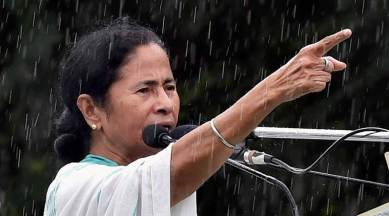 Navratri, Muharram, Pujo, West bengal, idol immersion, Durga puja, Mamata Banerjee, bengal government, Calcutta high court,