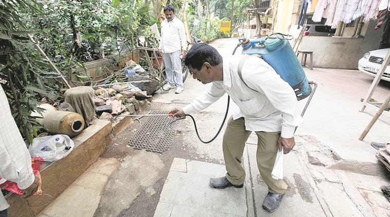 dengue, malaria, mosquito-breeding sites, chikungunya, pune, Pune municipal corporation