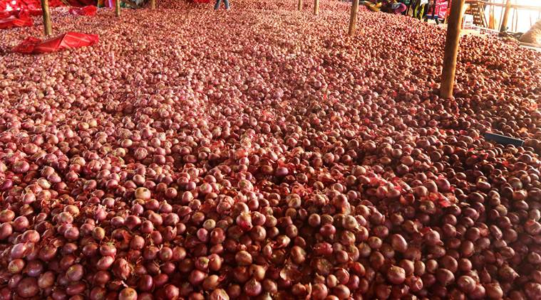 onion Prices, onions prices in India, Price of onions in India, India news, national news, latest news, India news, national news, latest news