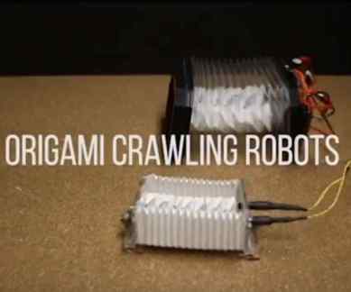 Origami, robot, University of Illinois, bacteria, robotics, Sameh Tawfick, science, science news, robots, technology