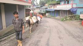 gorkhaland, gorkhaland violence, Pashupati Nagar, Nepal, Darjeeling, gjm, india news, nepal news