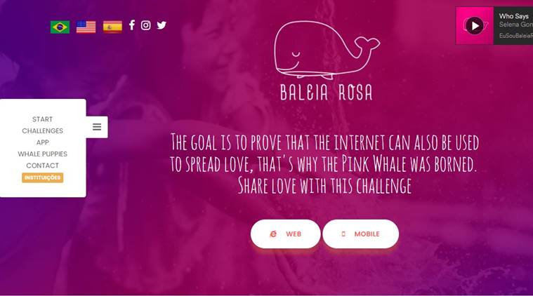 Pink Whale Challenge, Balei Rosa, Blue Whale Challenge