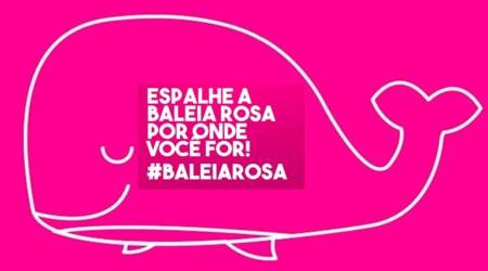 Pink Whale Challenge, Balei Rosa, Blue Whale Challenge