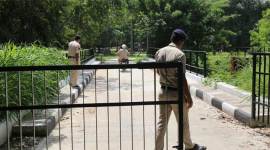 Chandigarh Youth Congress leader granted bail, Vijay Pal Singh Dimpy granted bail, chandigarh congress leader cheating case, indian express news, chandigarh news, punjab news