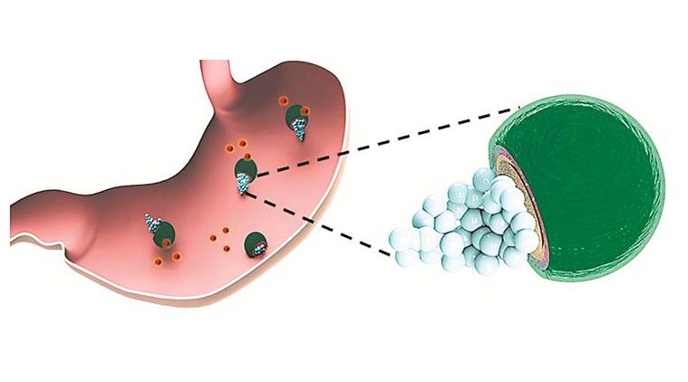 Katie Mack, Astronomer,David Brin, Biologist,X-ray telescopes,micromotors