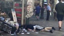 barcelona attack, barcelona terror attack, spain attack, barcelona attack death, death toll, spain attack death, islamic state, ISIS, indian express news, world news