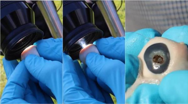 total solar eclipse, solar eclipse, total solar eclipse 2017, solar eclipse safety rules, how to watch solar eclipse, how to protect eyes solar eclipse, viral videos, indian express