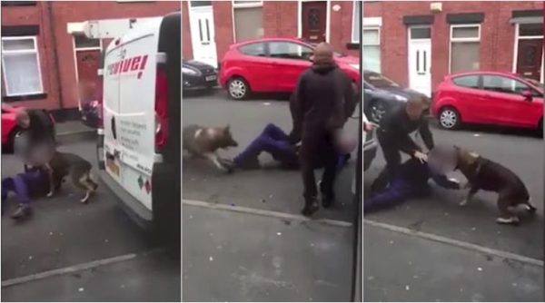 man bites dog, man bite dog ear, uk man bites dog, police dog attacked, viral videos, trending videos, unusual news, weird news, odd news, indian express
