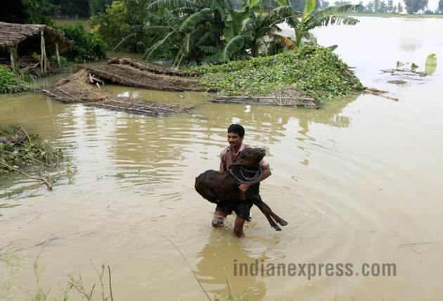 up floods, uttar pradesh flood images, uttar pradesh flood 2017, uttar pradesh flood photos, up flood pics, badh in uttar prades, floods in india, indian express