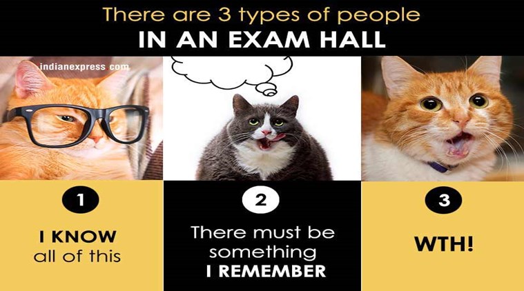 Photos How You Live Your Life In Funny Cat Memes The Indian Express 