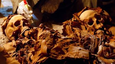 Egypt, tomb, Egyptian goldsmith, Luxor, Archeology, World news, Indian Express