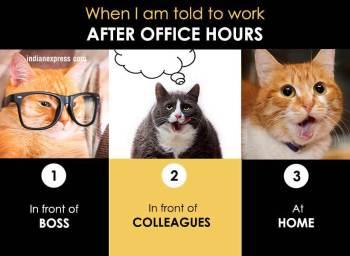 How you LIVE your life in FUNNY CAT memes | Lifestyle Gallery News,The  Indian Express