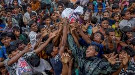 rohingya refugees, rohingya muslims, rohingya muslims in india, rohingya muslims in west bengal, bharatiya janata party, bjp, india news, Indian Express